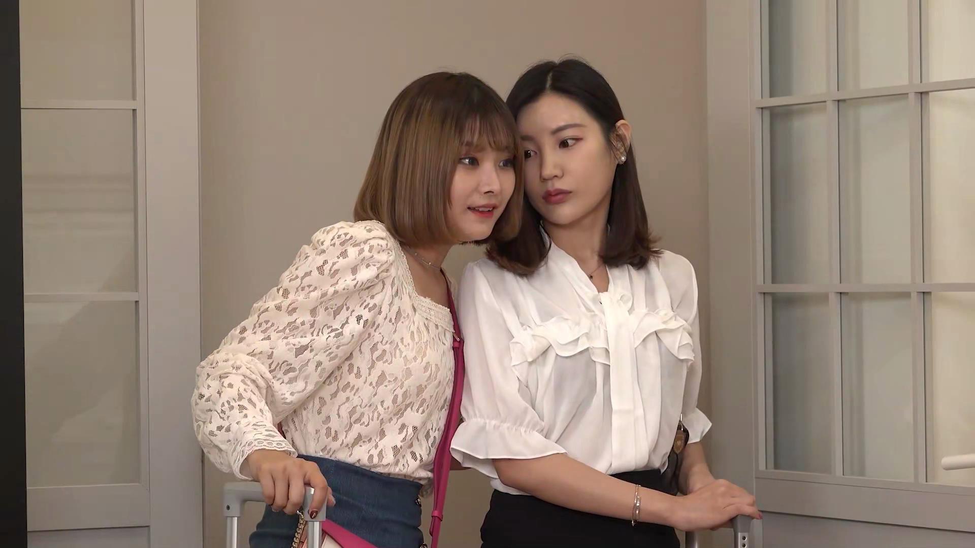宠物女郎.秘密助手