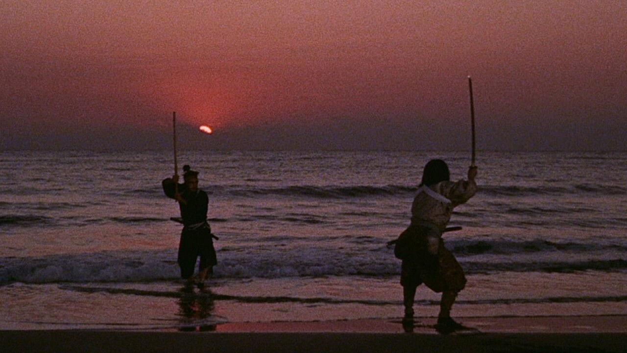 宫本武藏 完结篇:决斗岩流岛