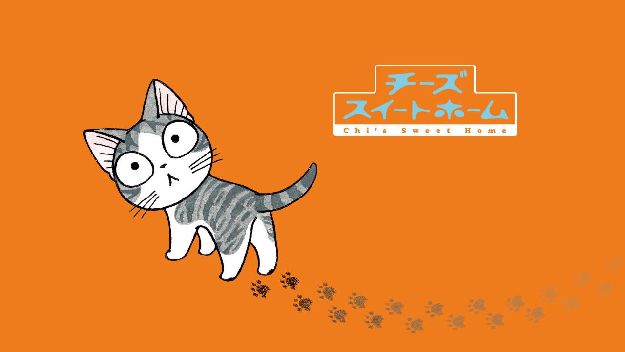 甜甜私房猫