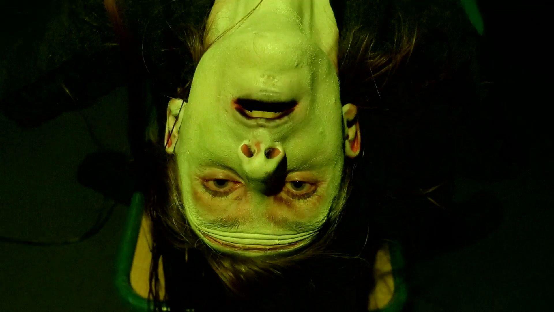 Frankenstein Created Robyn