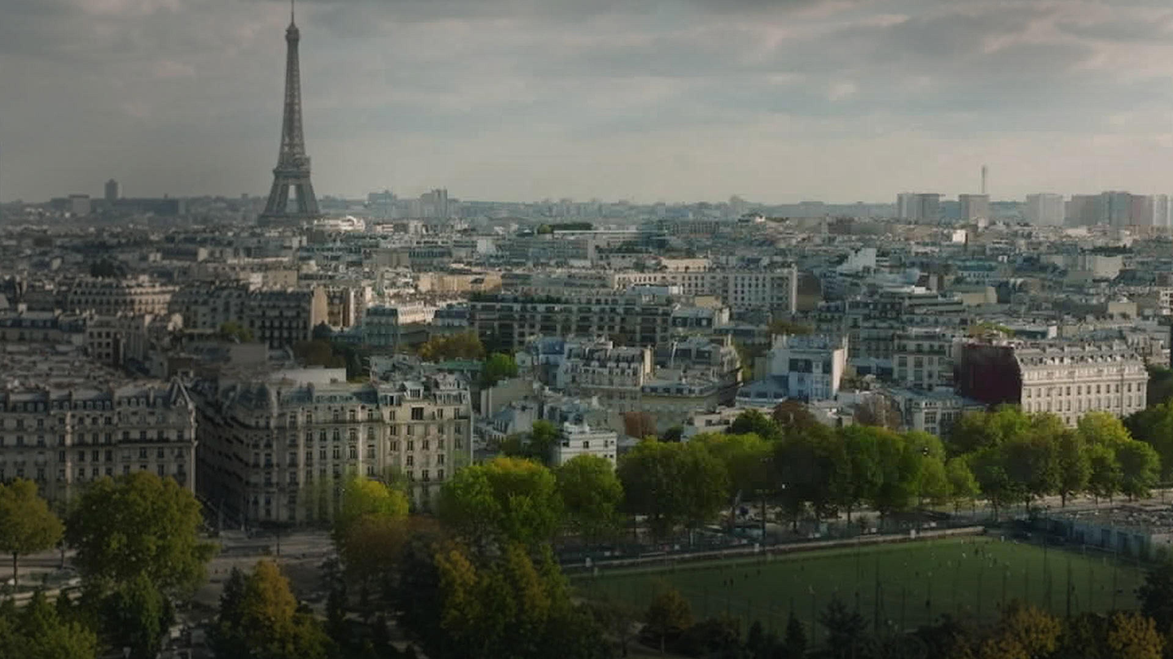 Le Suicide Francais