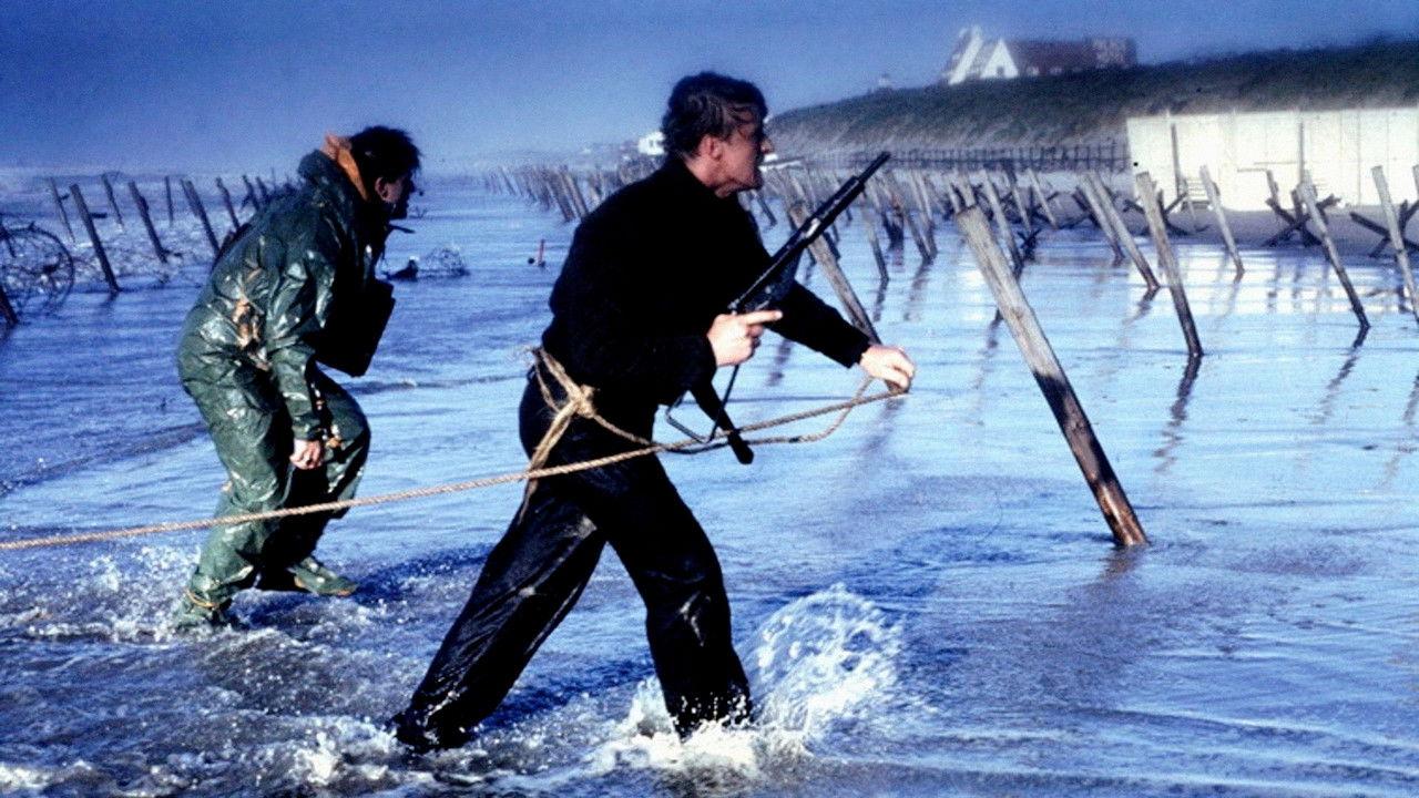 青葱岁月