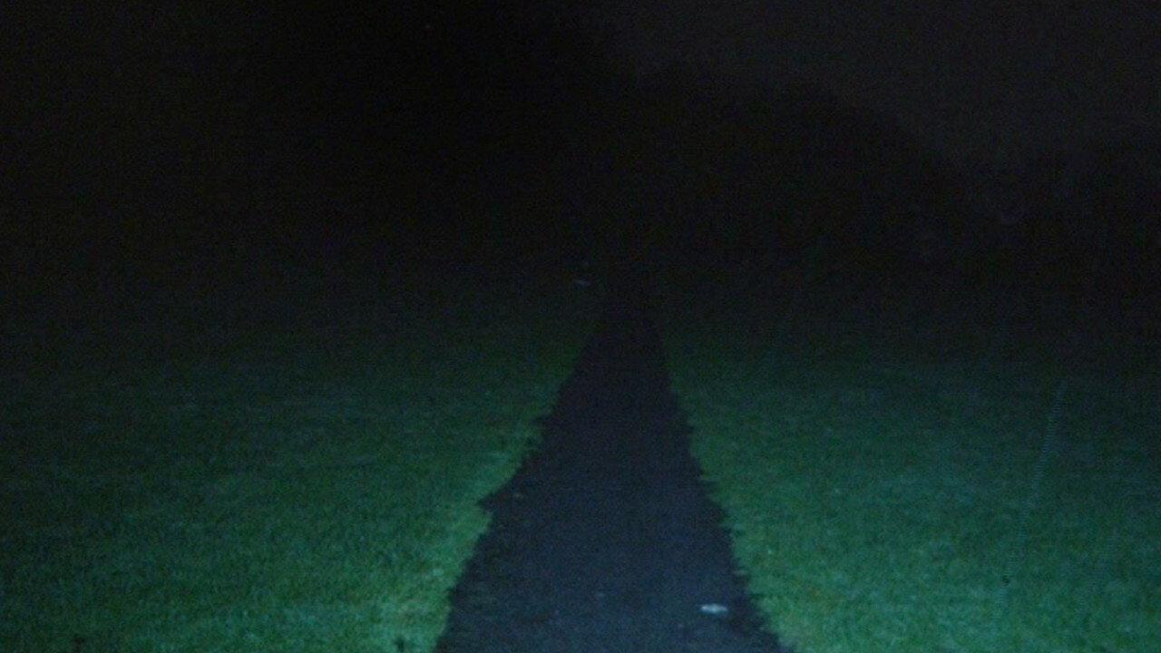 LEASH