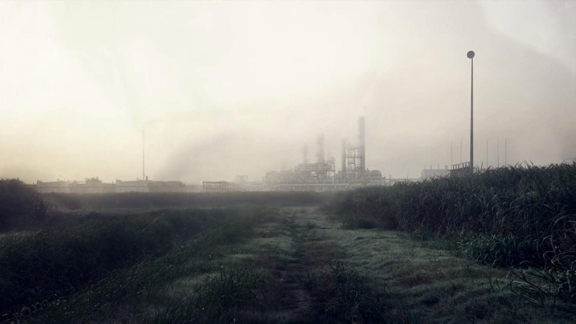 真探