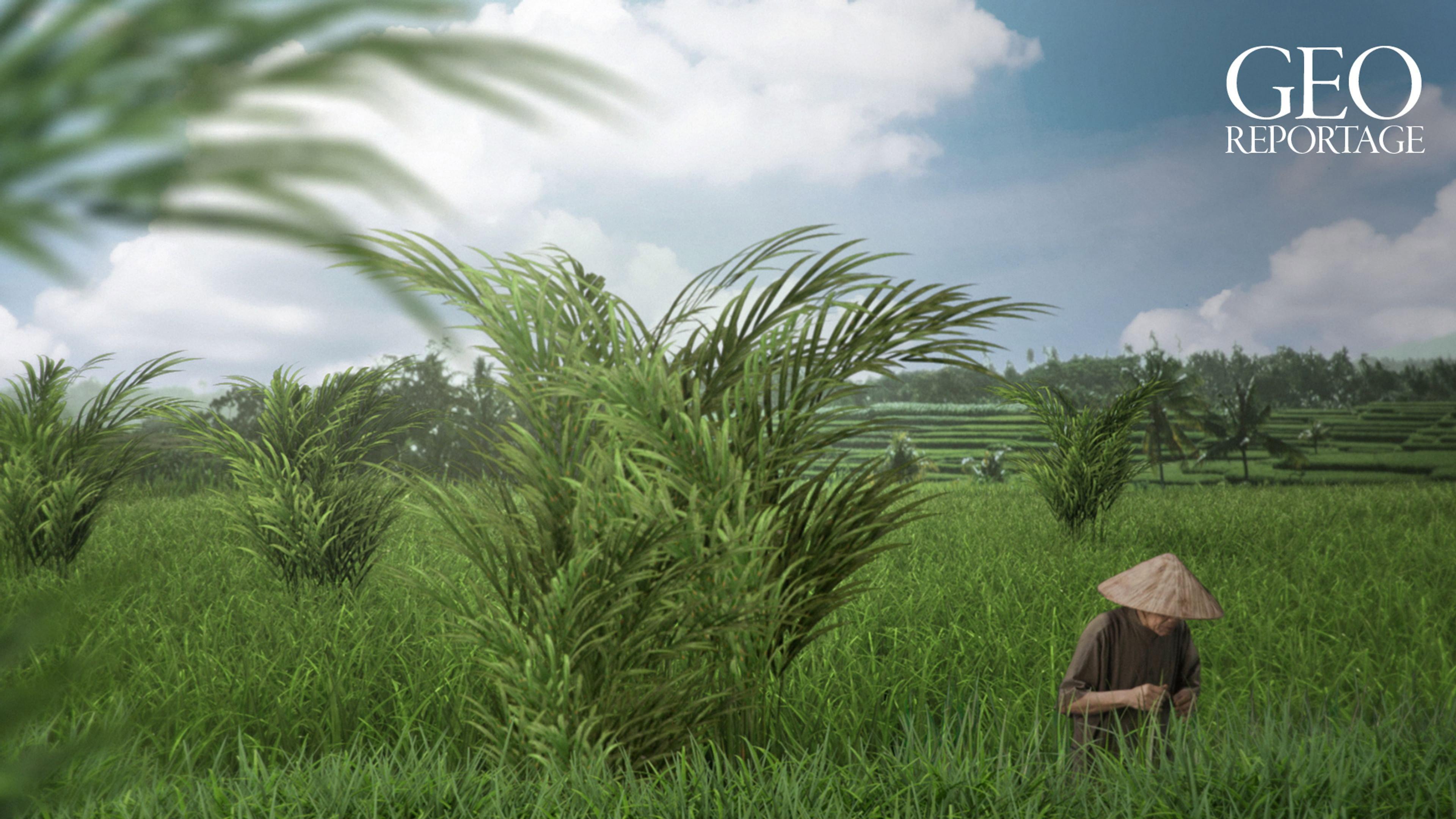 ARTE 360° Reportage