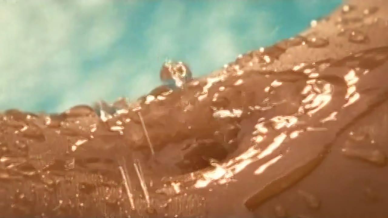 花花公子:潮湿与狂野5