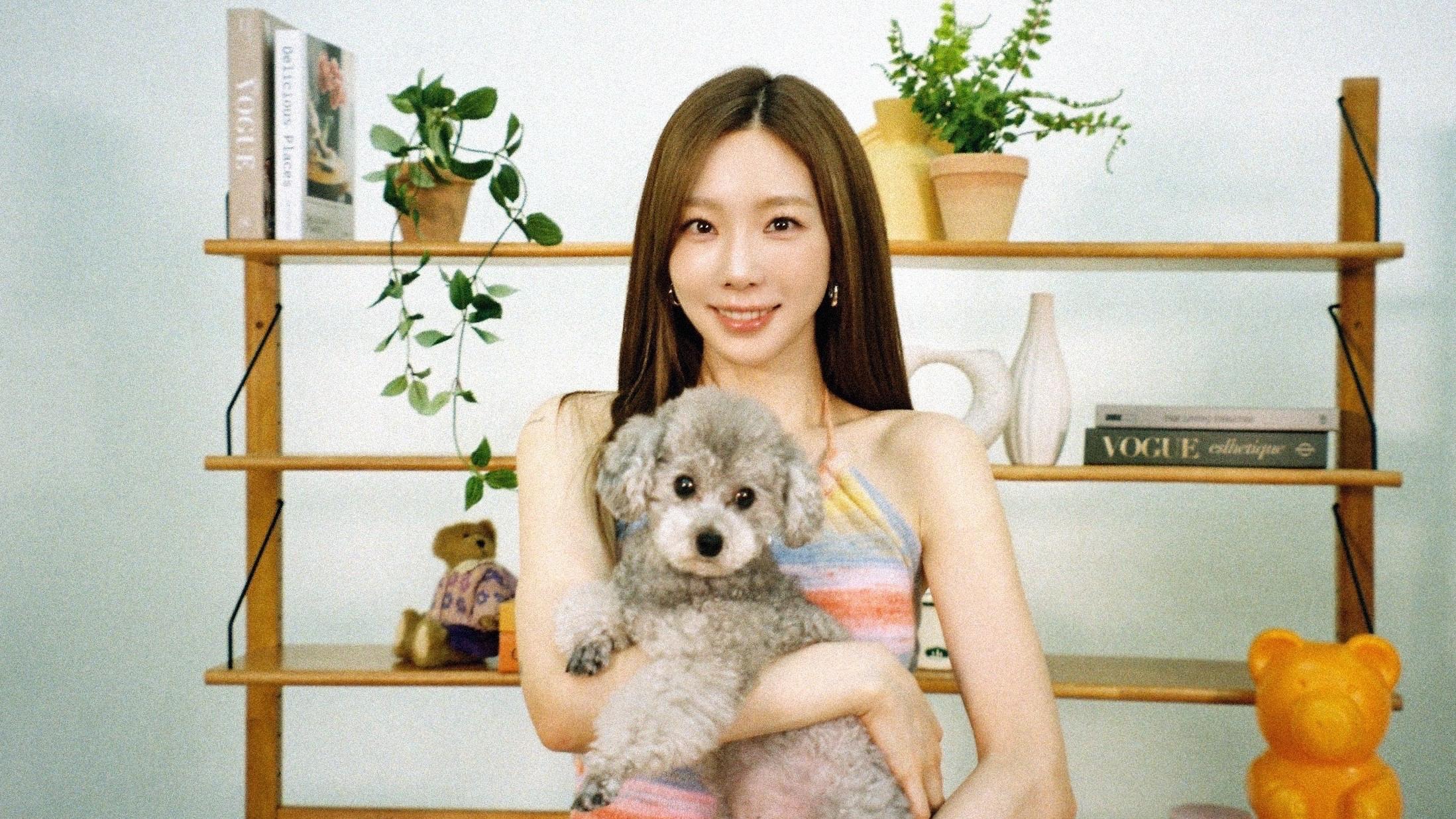 탱나무숲