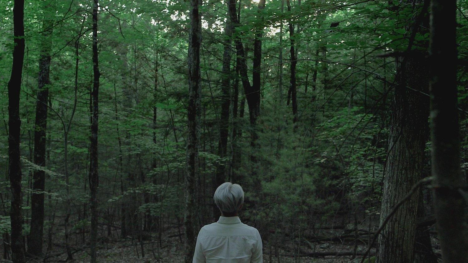 坂本龙一:终曲