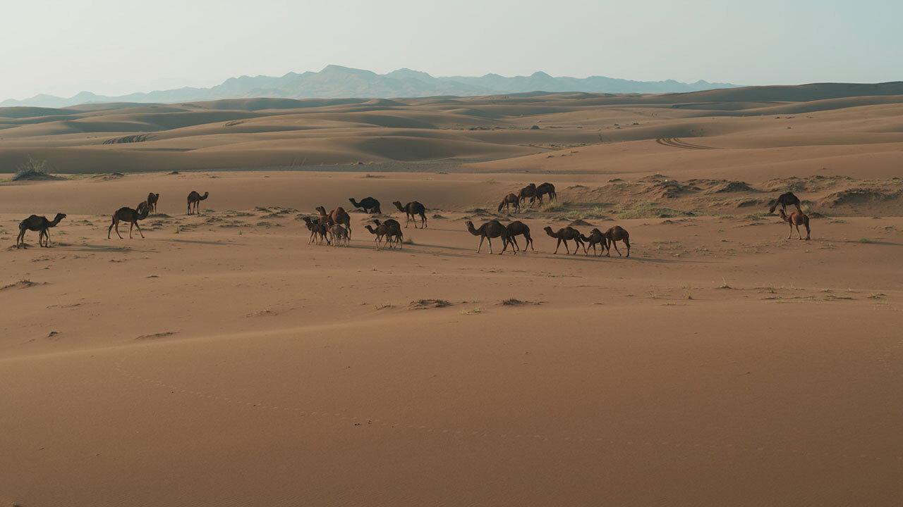 L'Iran vu du ciel