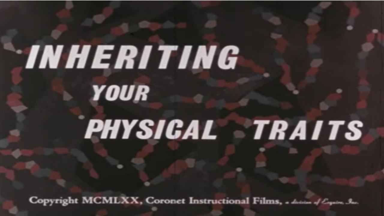 Inheriting Your Physical Traits