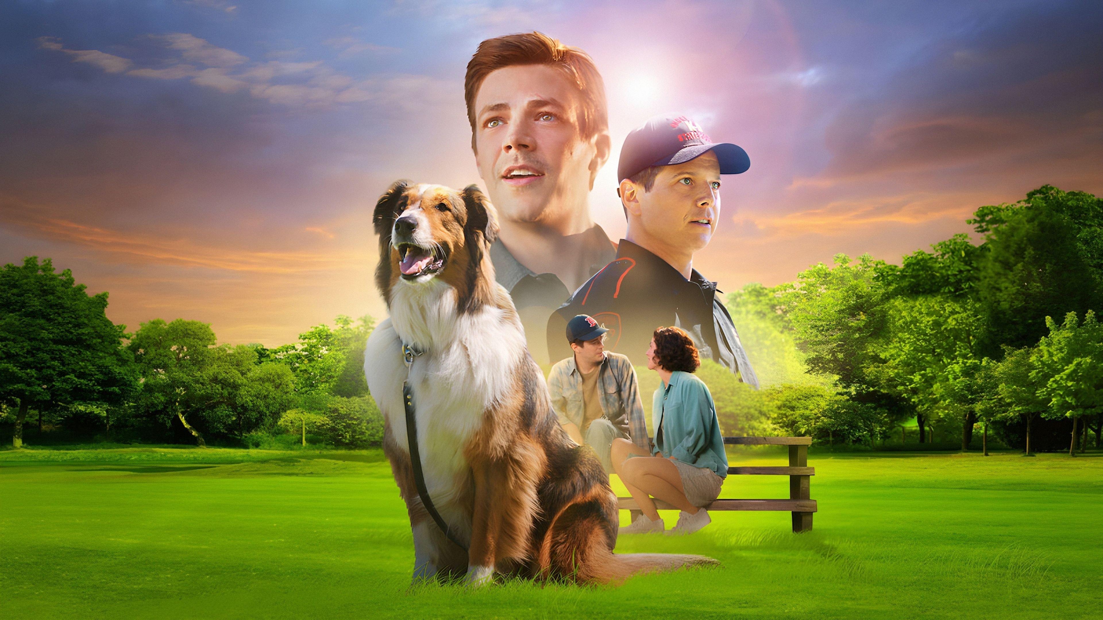 义犬救主