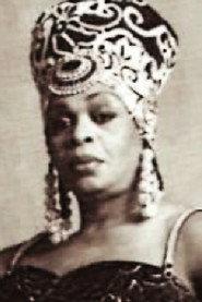 Avis Pendavis