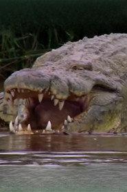 Gustave the Crocodile