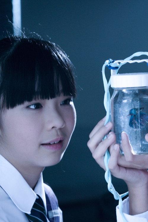 星星的孩子
