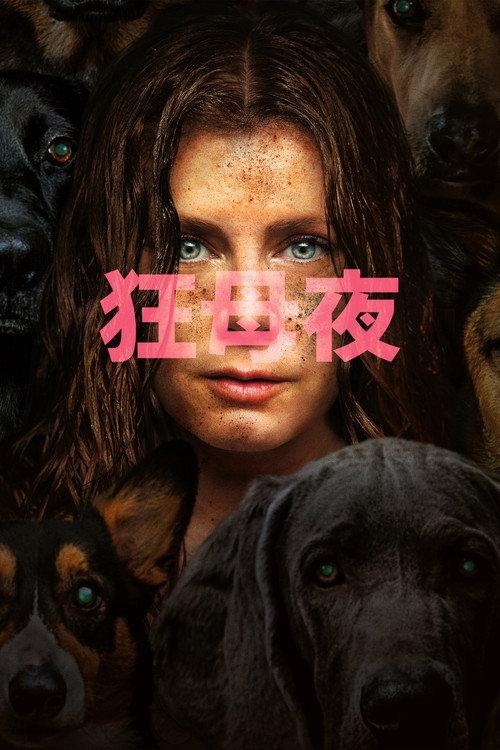夜母