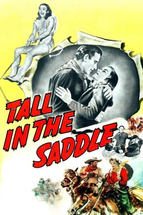 豪侠荡寇