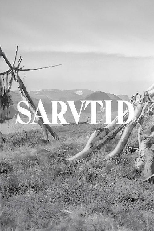 Sarvtid