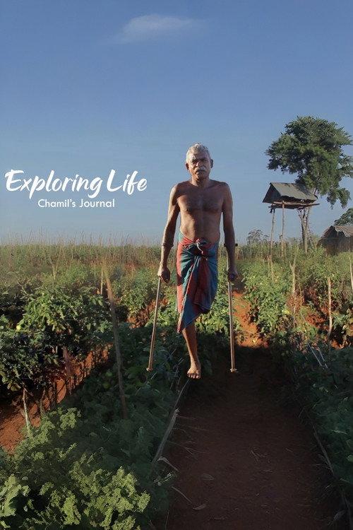 Exploring Life - Chamil's Journal
