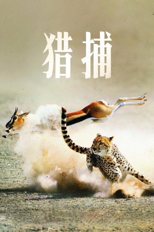 猎捕