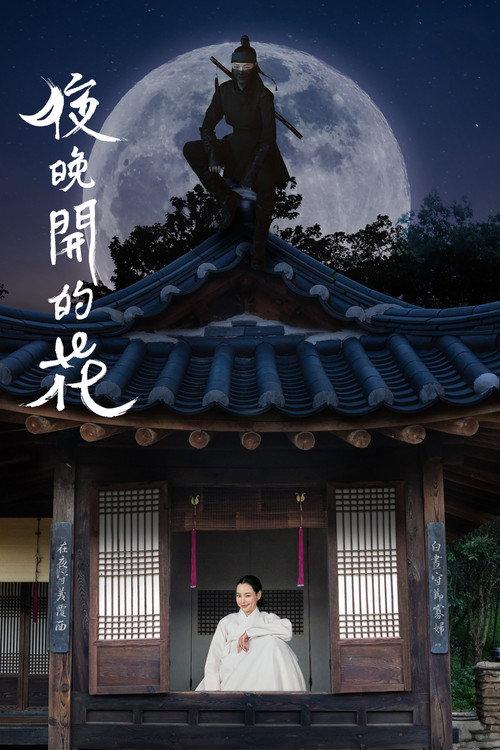 夜晚开的花