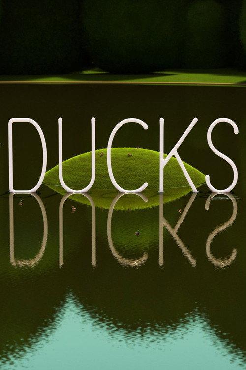DUCKS