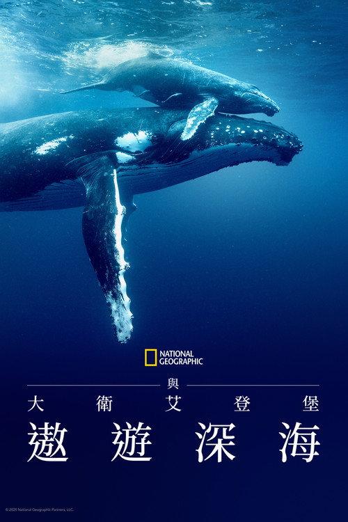 大卫·爱登堡:海洋