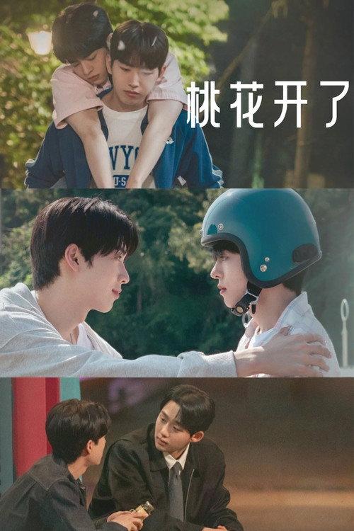 桃花开好了