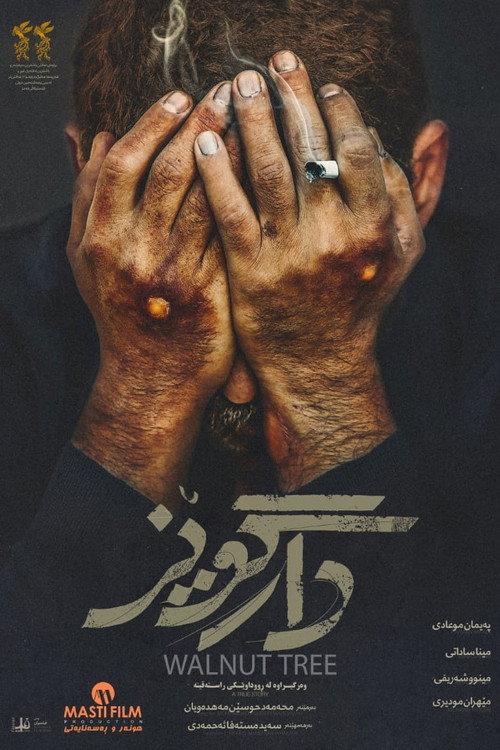 胡桃树