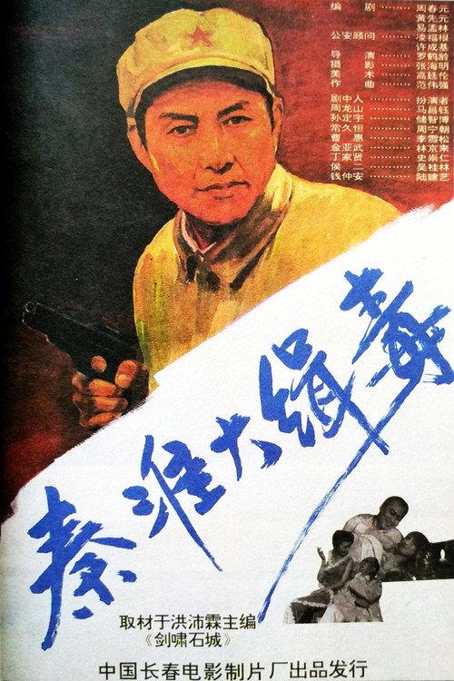秦淮大缉毒
