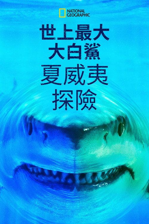 世上最大大白鲨:夏威夷探险
