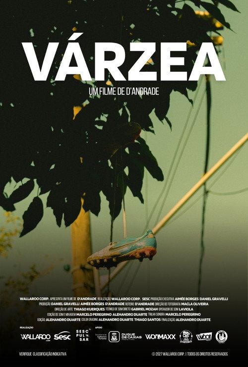 Várzea