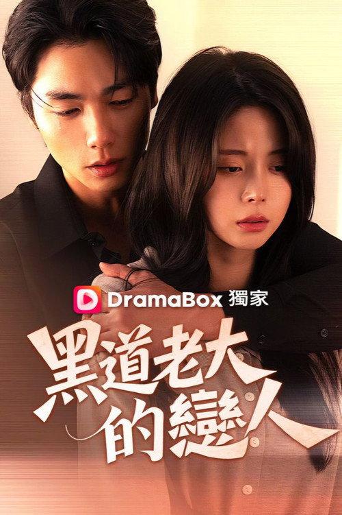 黑道老大的恋人