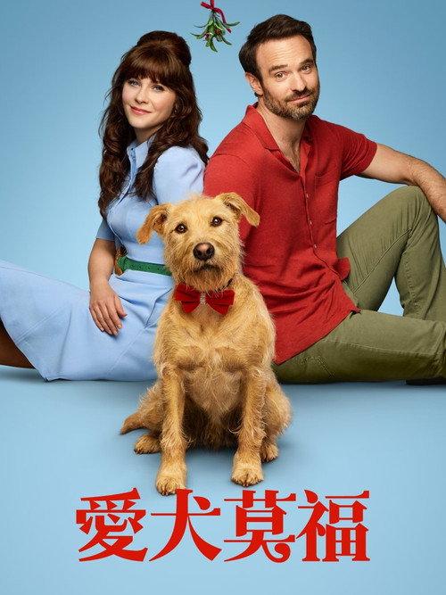 爱犬莫福