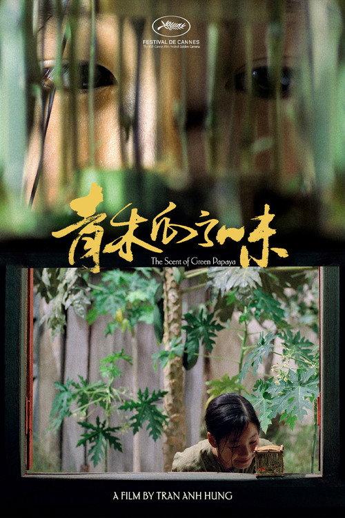 青木瓜之味