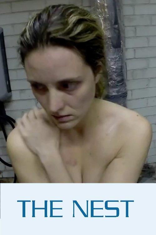 乳巢