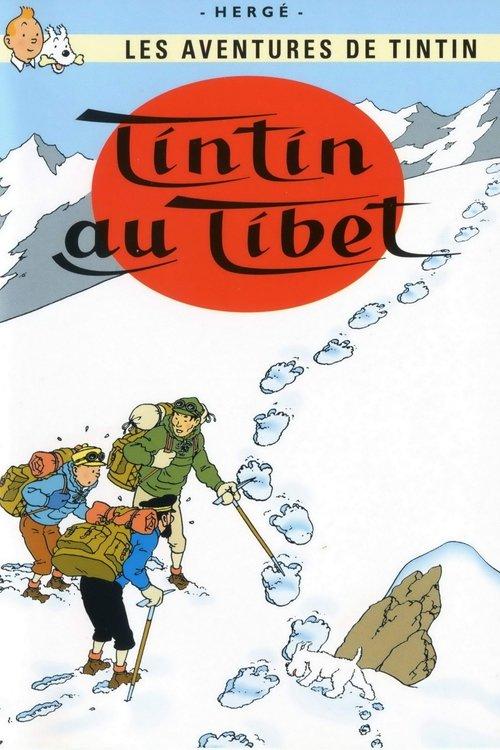 丁丁在西藏