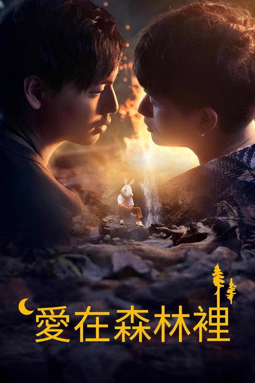 爱在森林里