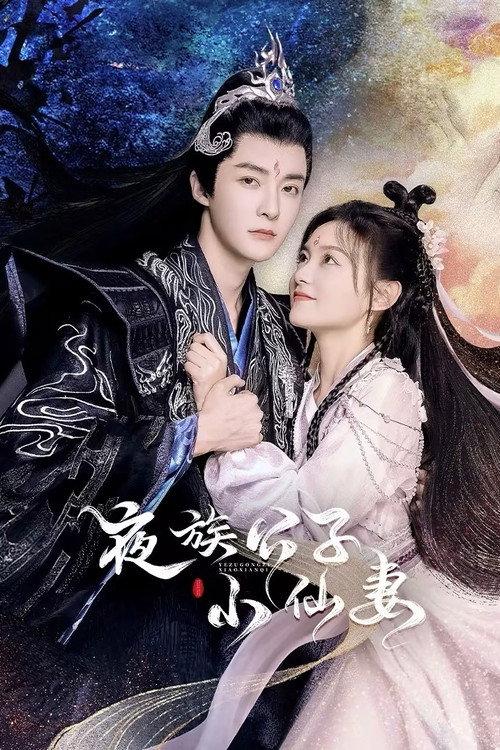 夜族公子小仙妻