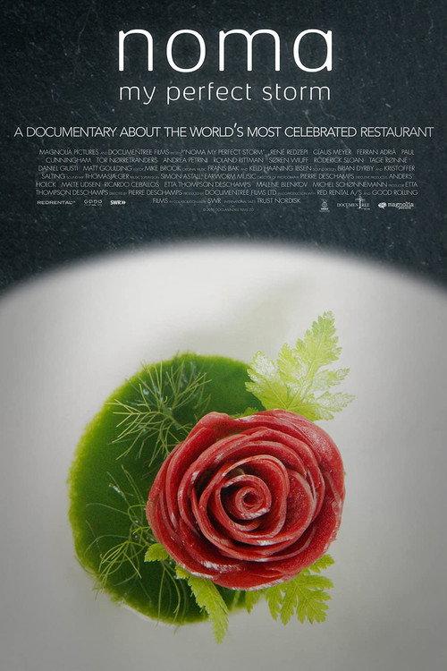 NOMA:美食风暴