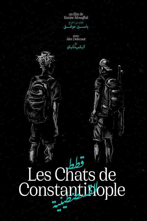 Les Chats de Constantinople