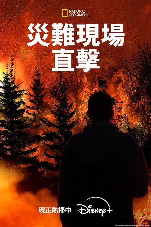 灾难现场直击