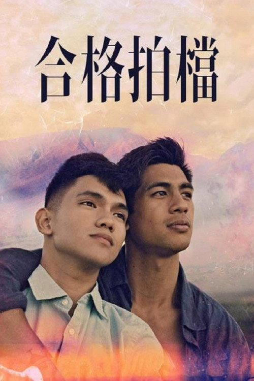 我的拍档