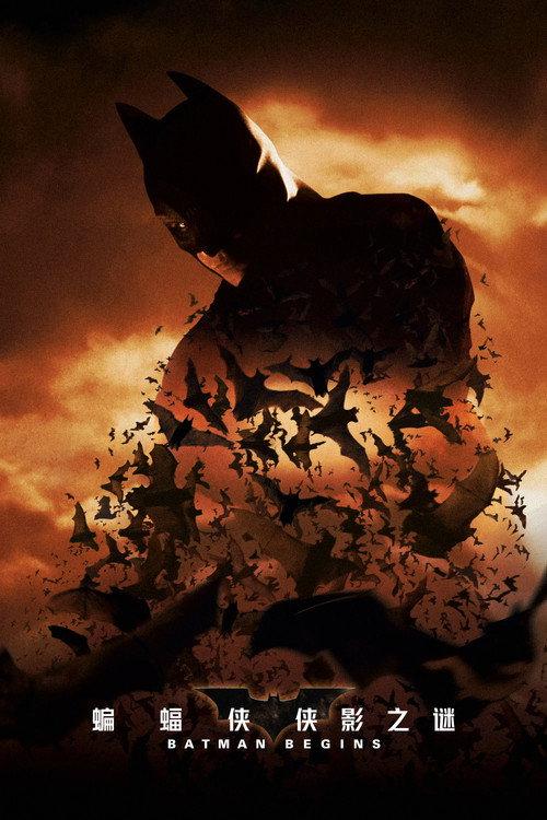 蝙蝠侠：侠影之谜