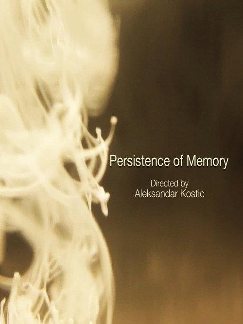 Persistence of Memory