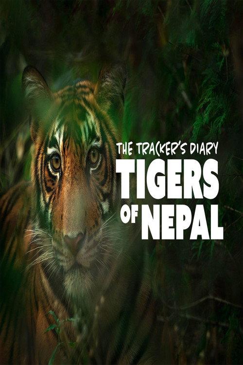 The Trackers Diary Tigers Of Nepal