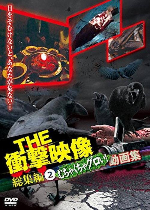 THE 衝撃映像 総集編(2)むちゃくちゃグロい!動画集