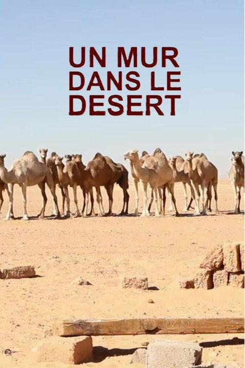 Un mur dans le désert