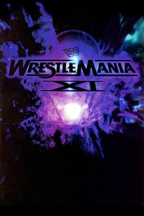 WWE 摔角狂热 11