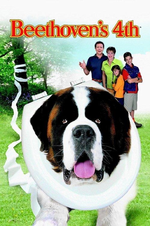 无敌当家4
