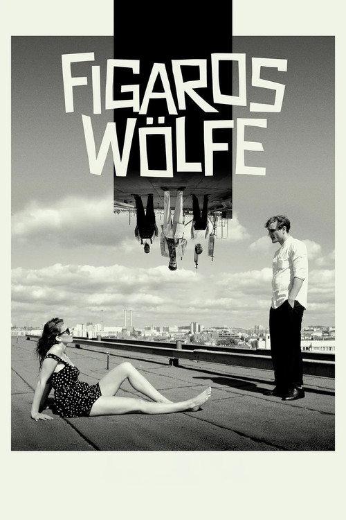 Figaros Wölfe